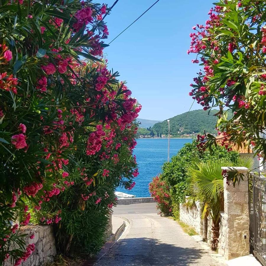 Apartments Todorovic Tivat Exterior photo